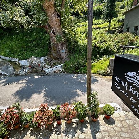 Λευκή Καμέλια Hotell Anilio Pelion Exteriör bild