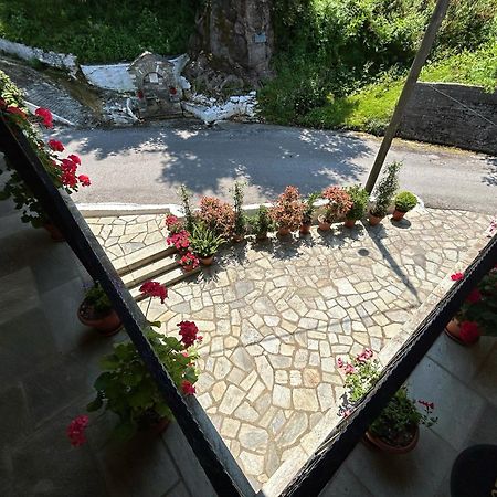 Λευκή Καμέλια Hotell Anilio Pelion Exteriör bild