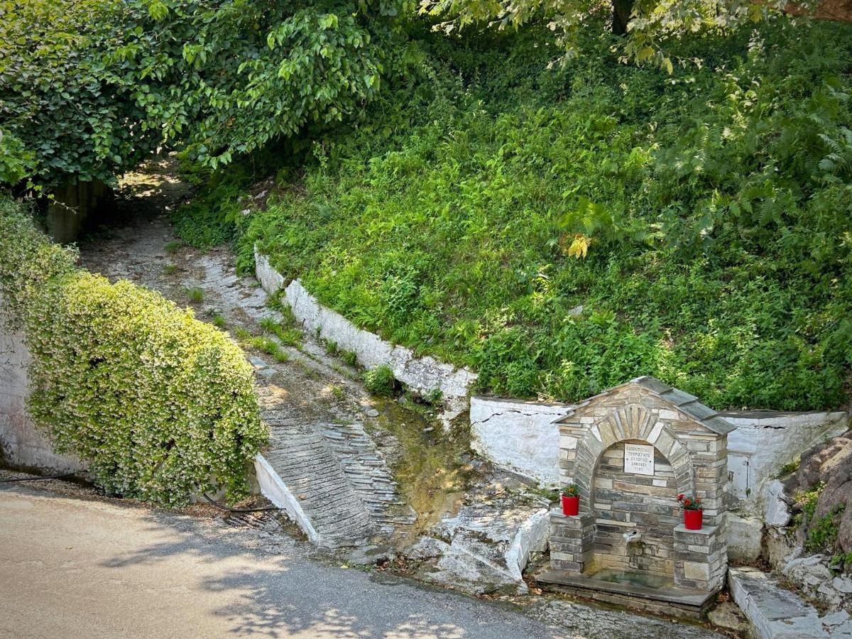 Λευκή Καμέλια Hotell Anilio Pelion Exteriör bild