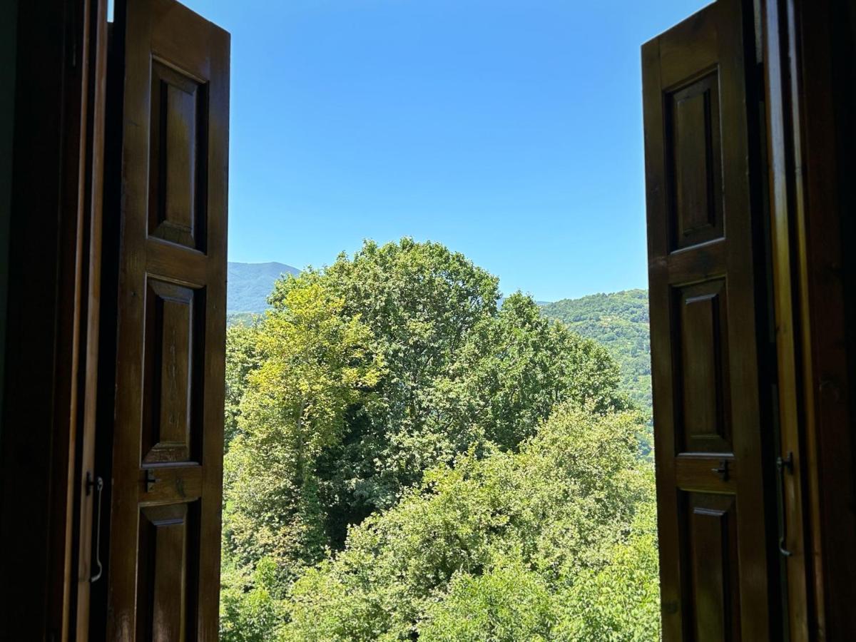 Λευκή Καμέλια Hotell Anilio Pelion Exteriör bild