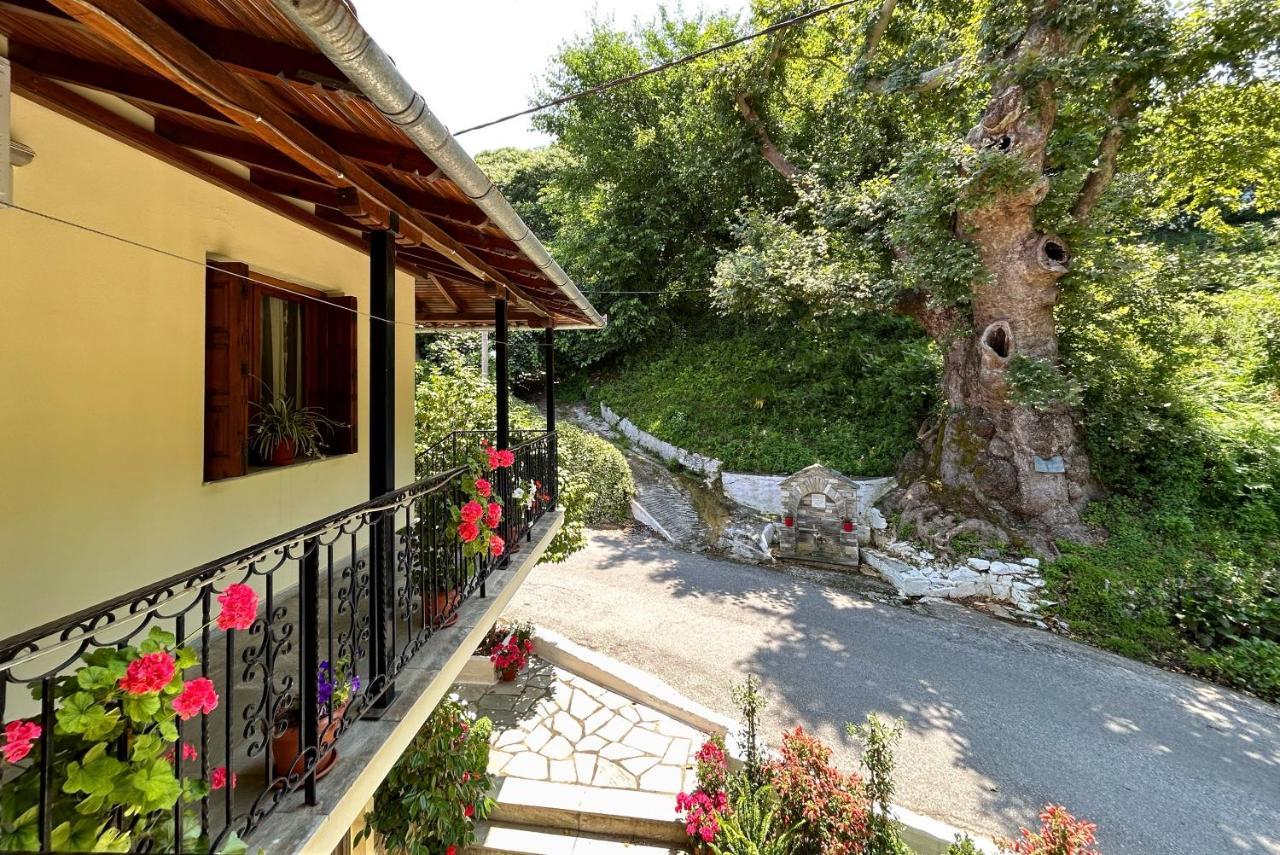 Λευκή Καμέλια Hotell Anilio Pelion Exteriör bild