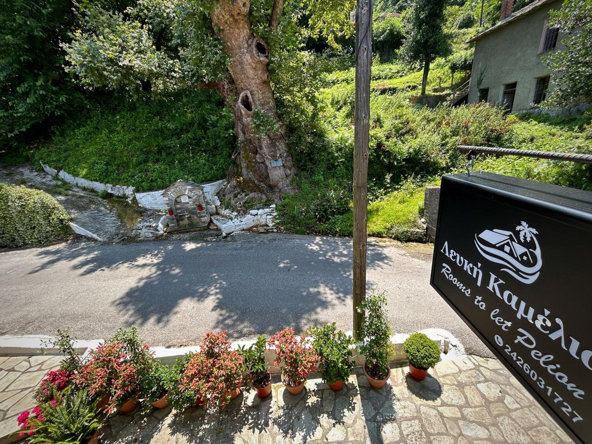 Λευκή Καμέλια Hotell Anilio Pelion Exteriör bild