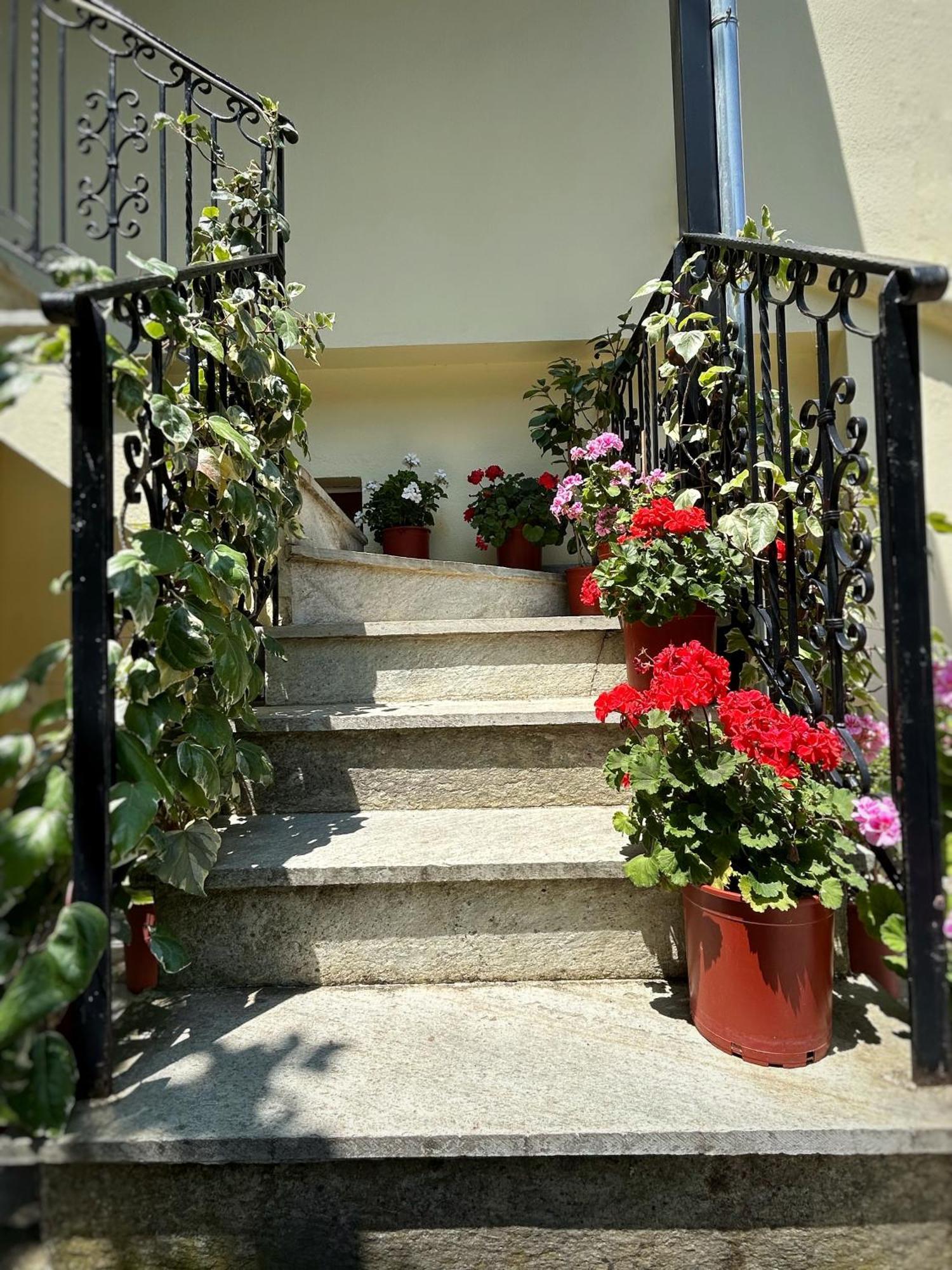 Λευκή Καμέλια Hotell Anilio Pelion Exteriör bild
