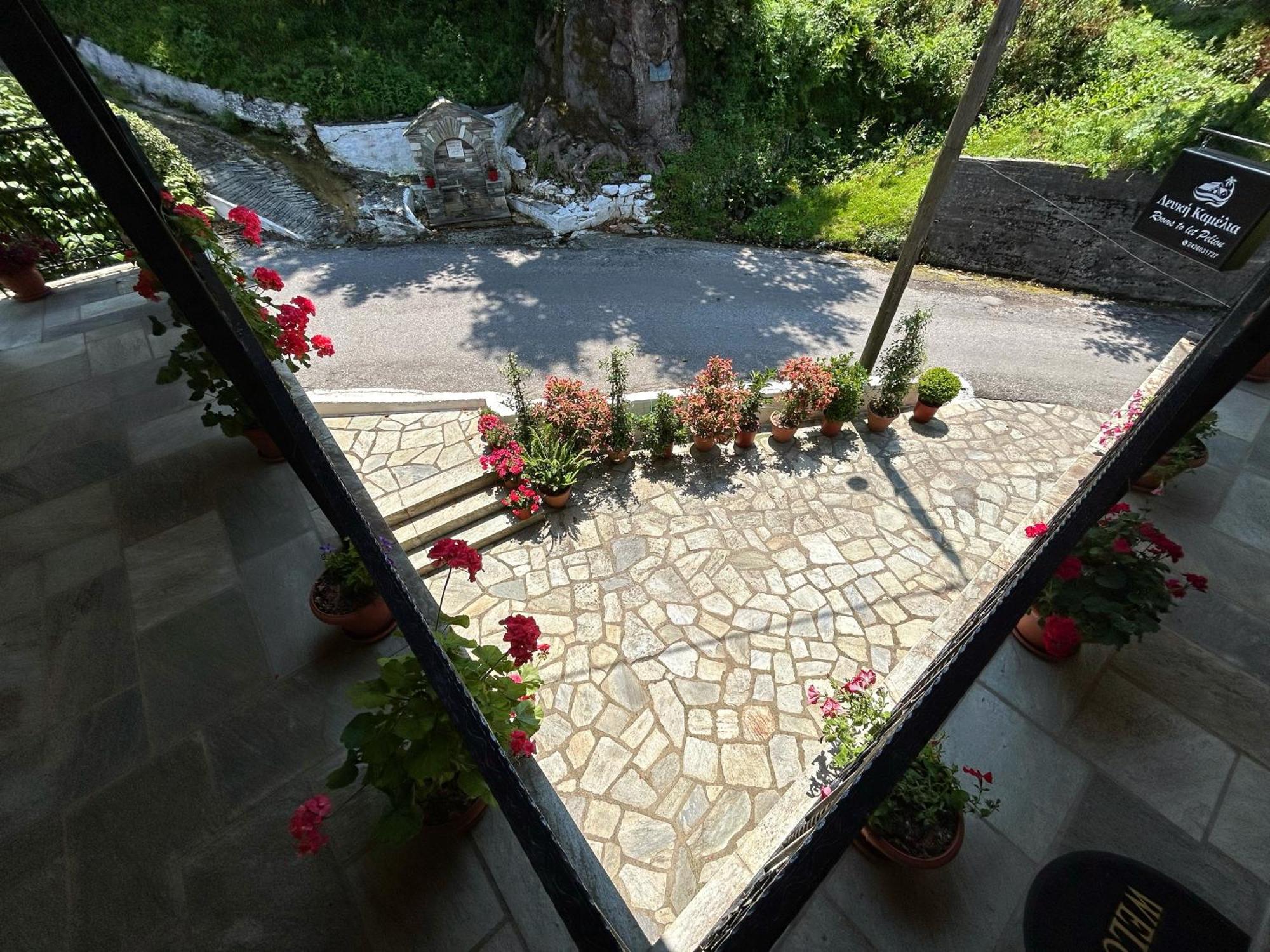 Λευκή Καμέλια Hotell Anilio Pelion Exteriör bild