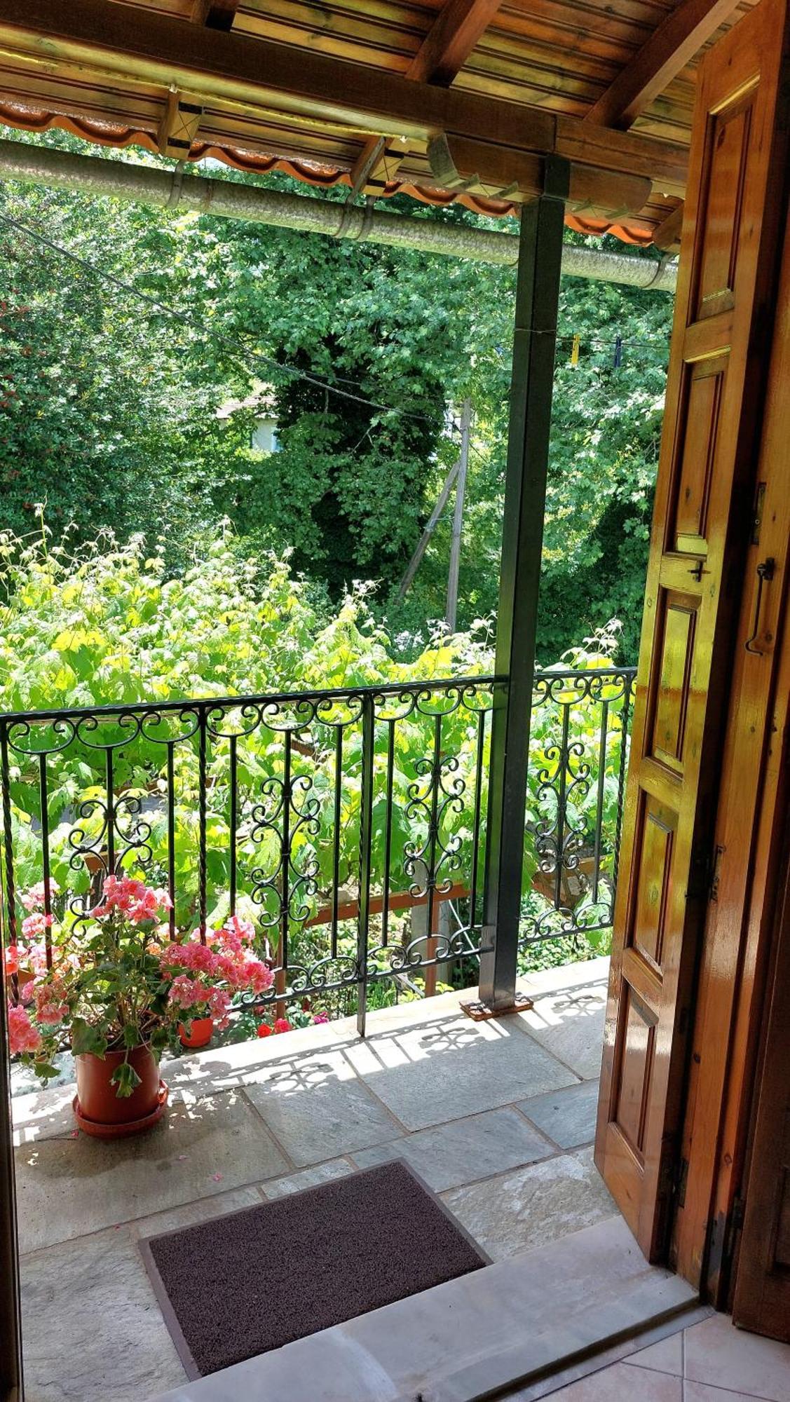 Λευκή Καμέλια Hotell Anilio Pelion Exteriör bild