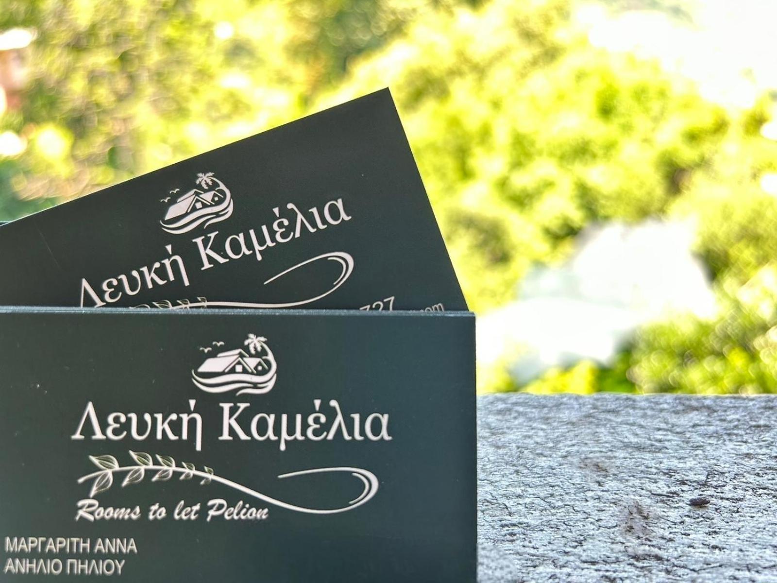 Λευκή Καμέλια Hotell Anilio Pelion Exteriör bild